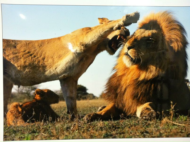 Викторина Смурова | Санкт-Петербург