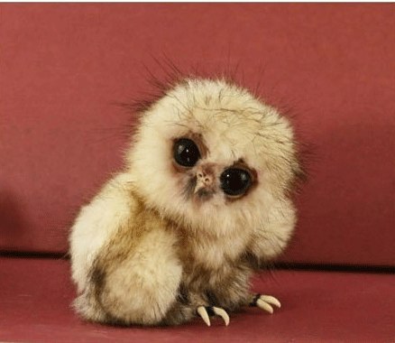 Алексей Межуев | Киев