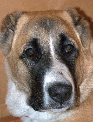 Анастасия Хайрулина | Иркутск