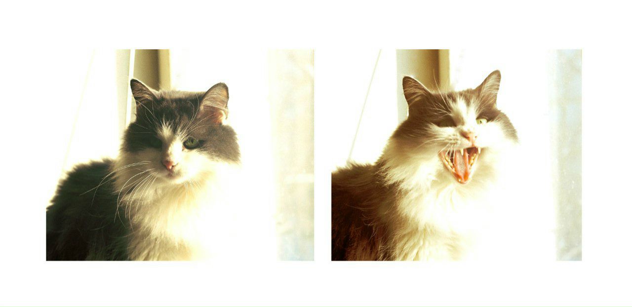 Anna Podgrushnaya | Киев