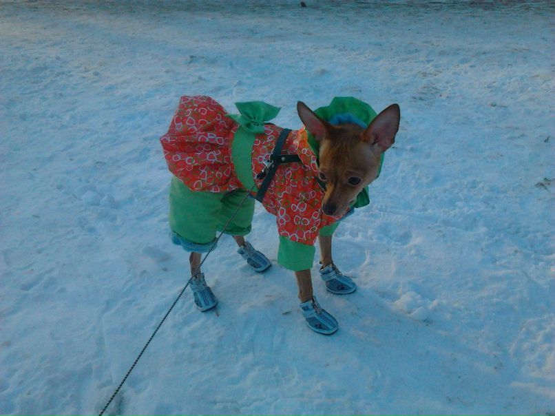 Елена Столярова | Москва