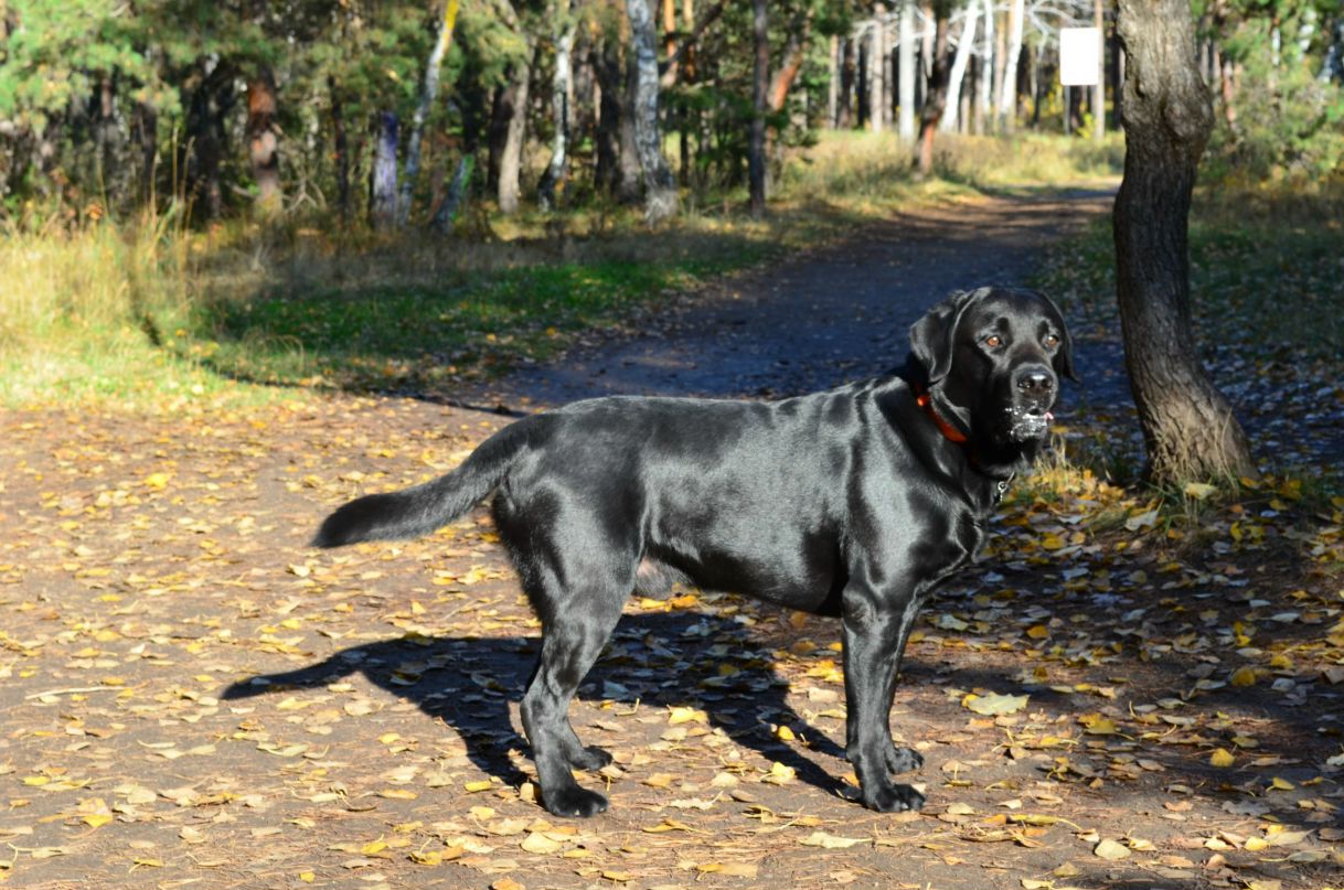 Мария Соловьева | Челябинск