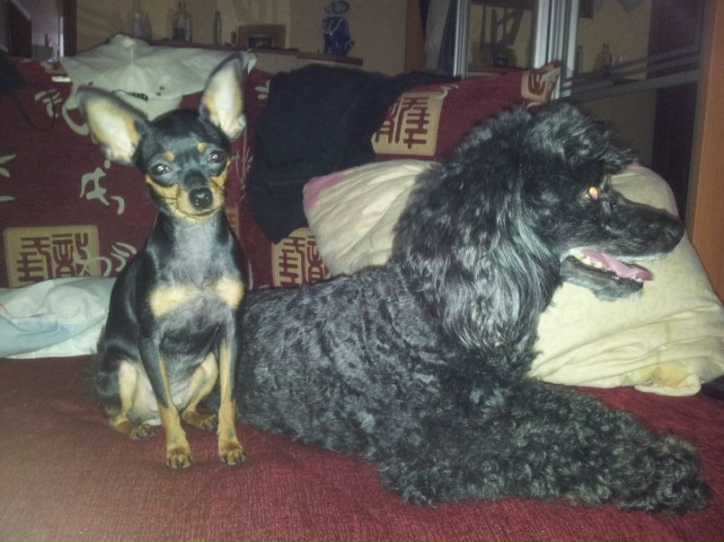 Марина Железнова | Сергиев Посад