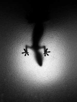 Любовь Ахмерова | Москва