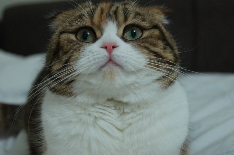 Марина Саинова | Чебоксары