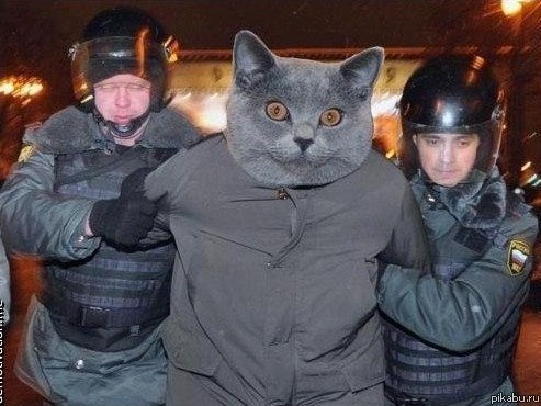 Феликс Марциновский | Los Angeles