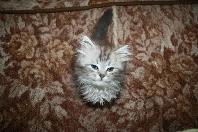 Анна Закирова | Казань