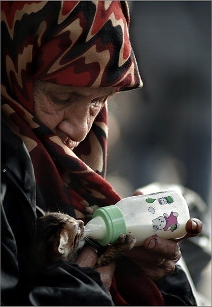 Алмаз Ибрагимов | Нижнекамск