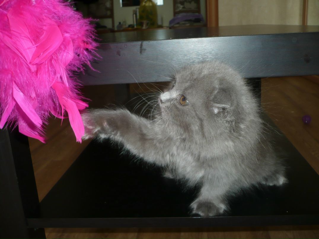 Лилия Акишина | Новосибирск