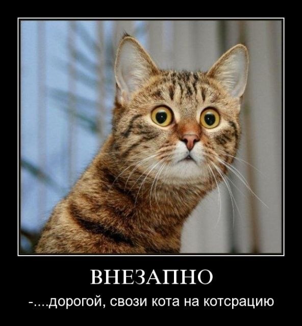 Сергей Бейбутян | Новосибирск