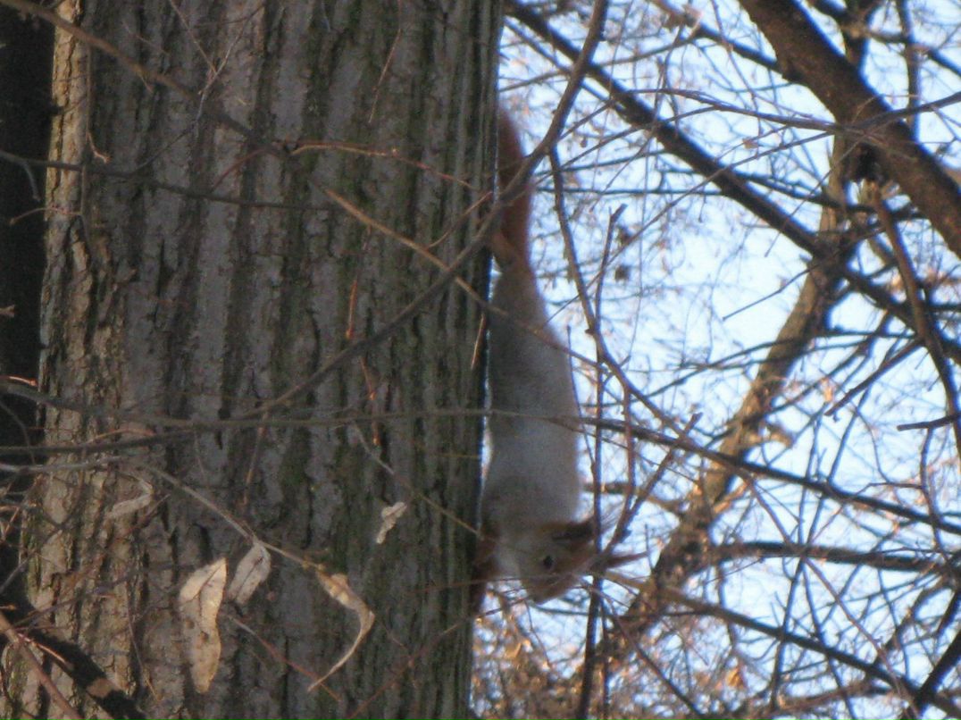 Макс Лукьяненко | Саратов