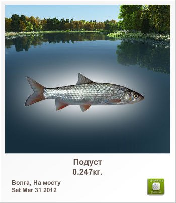 Артем Давыдов | Владивосток