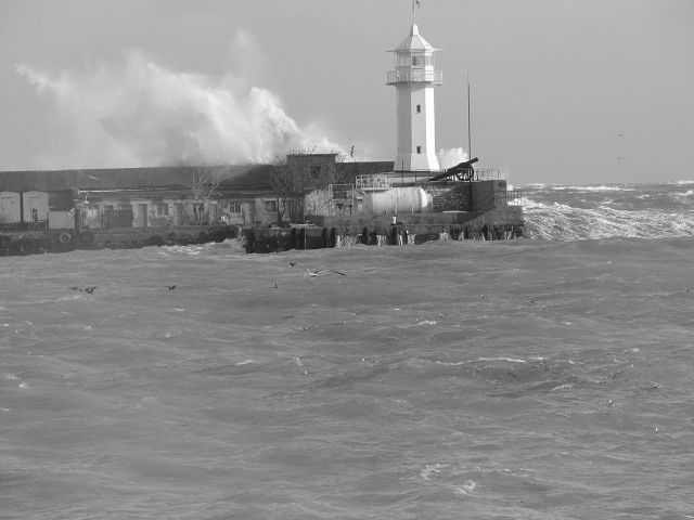 Елисей Бороздин | Ялта