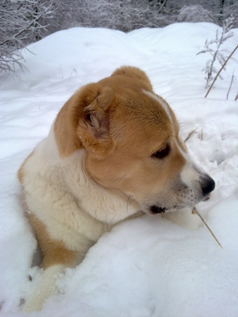 Марина Смирнова | Москва