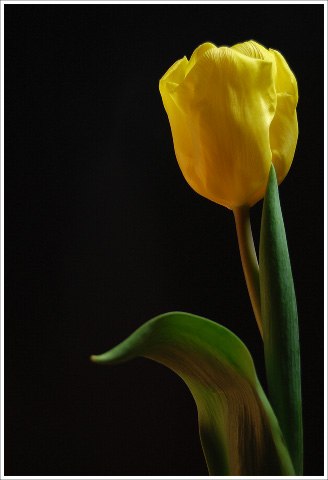 Бяшка Бяшка | Санкт-Петербург