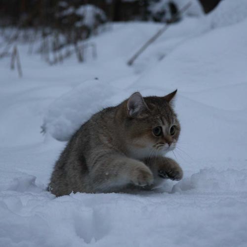 Боря Буценко | Киев