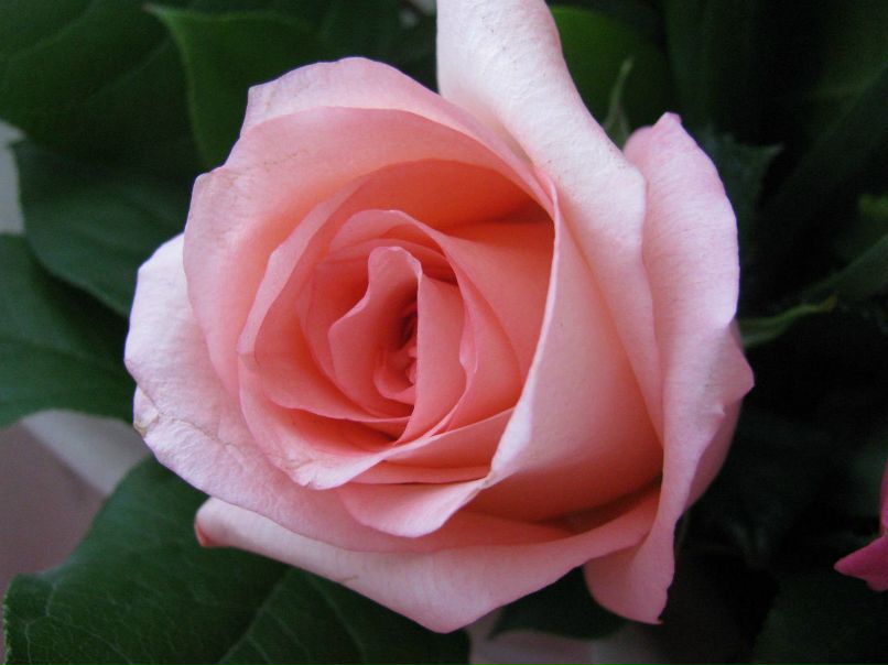 Елена Митюкова | Москва