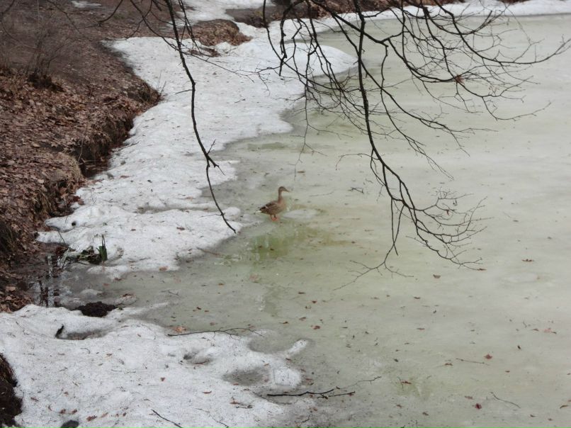 Ольга Баринова | Камышин