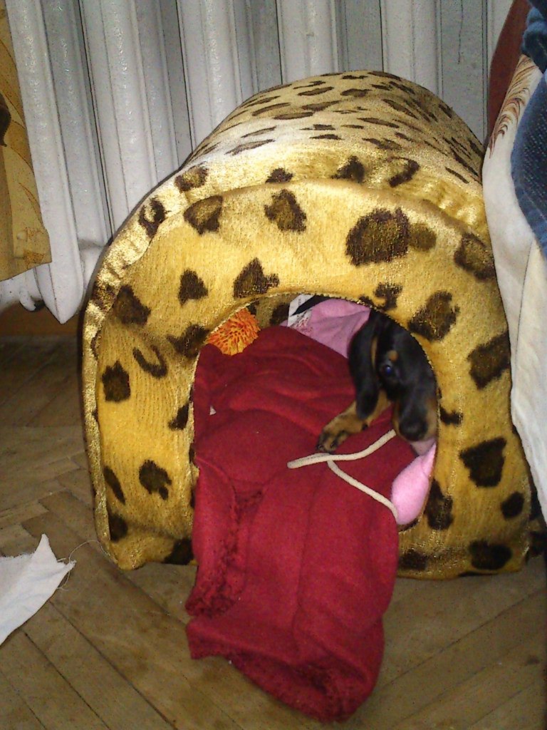 Ольга Синькова | Санкт-Петербург