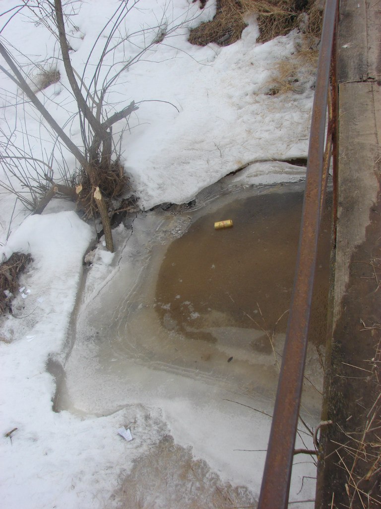 Инга Карашкевич | Минск