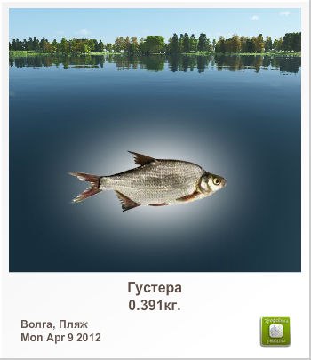 Валерий Гришин | Чаплыгин