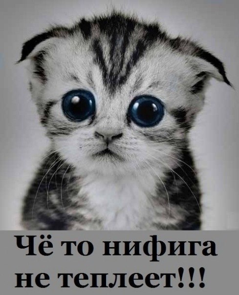 Андрей Кустов | Мурманск