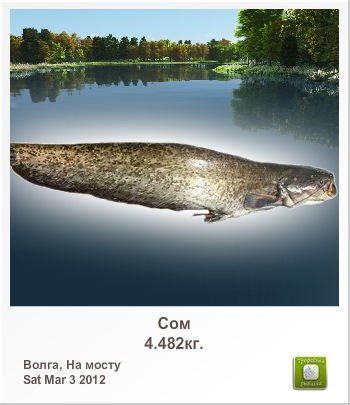 Юлий Павлов | Санкт-Петербург