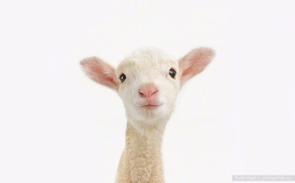 Валерия Метеля | Петропавловск-Камчатский