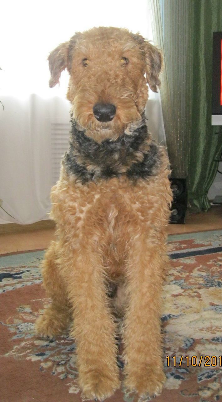 Евгений Глебов | Могилёв