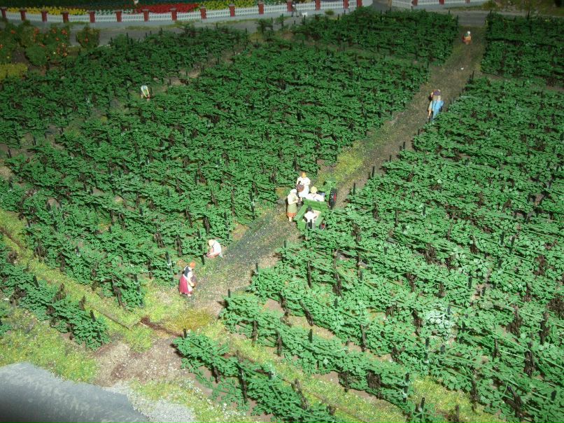 Анатолий Миловидов | Санкт-Петербург