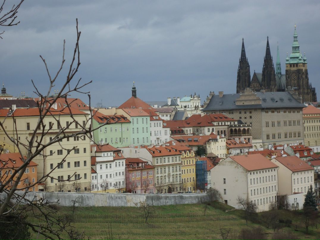 Людмила Ситникова | Санкт-Петербург