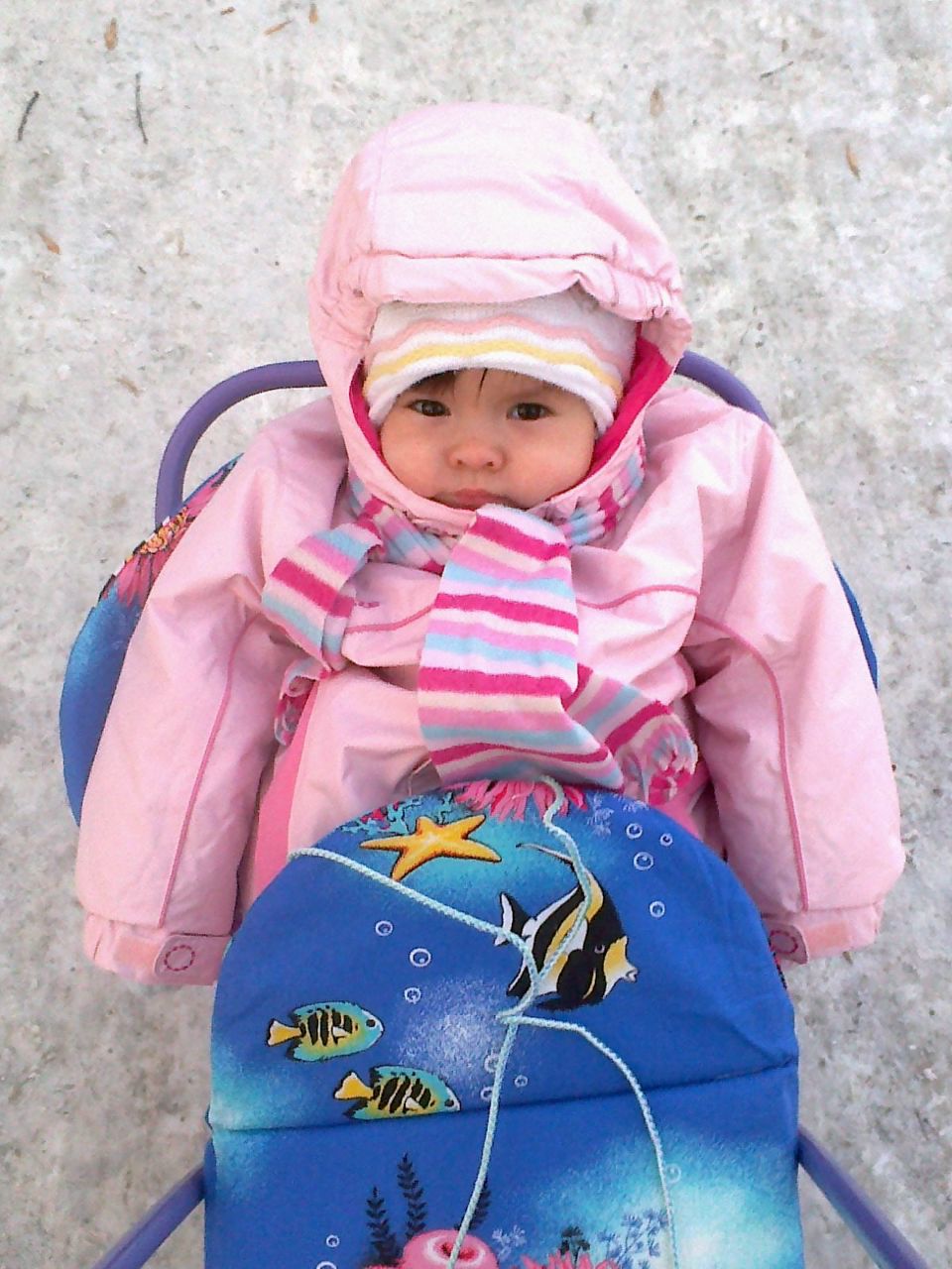 Василиса Матросова | Златоуст