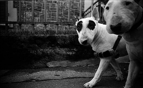 Наталья Александровна | Москва