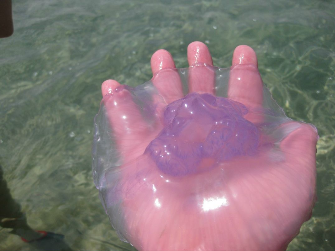 Руслан Афонин | Санкт-Петербург