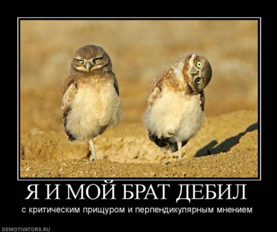 Сергей Глушков | Санкт-Петербург