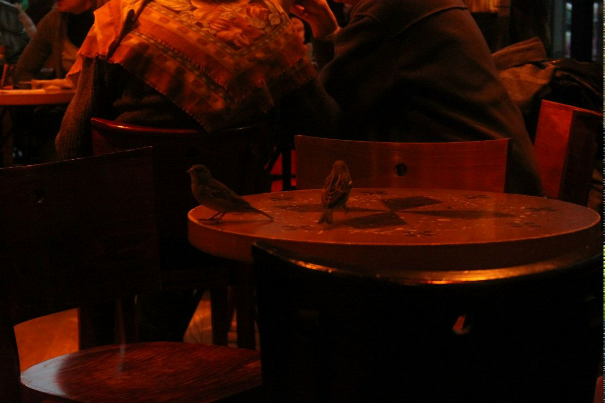 Вячеслав Донченко | Ростов-на-Дону