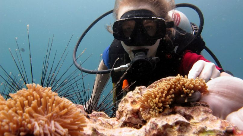Коля Белый | Санкт-Петербург