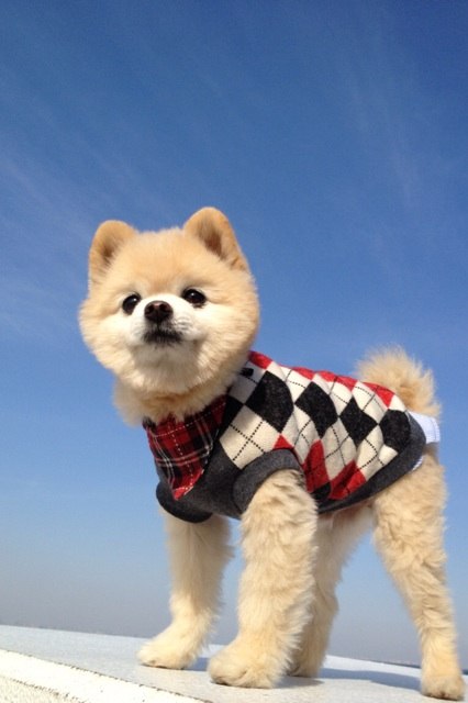 Николай Дубровский Ramix | Москва