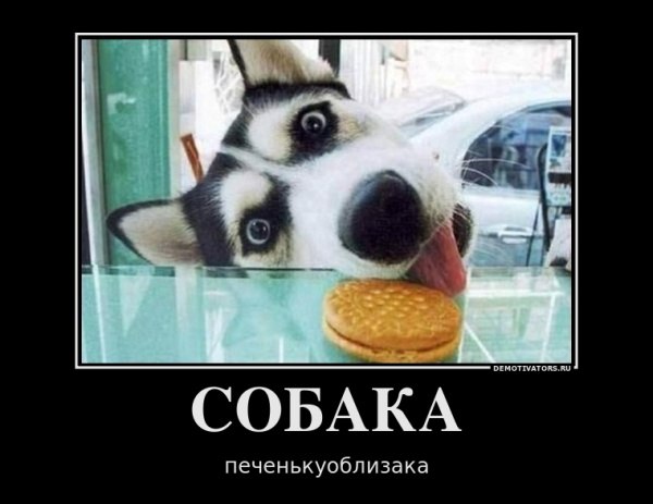 Андрей Лефутуренко | Киев