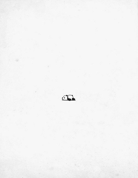 Настя Ложачевская | 