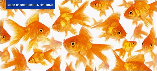 №94, Дарья, Киев №94, Дарья, Киев