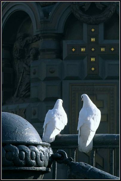 №130, Маргарита Малюга, Мелитополь №130, Маргарита Малюга, Мелитополь