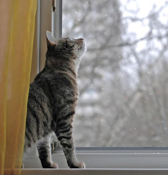 №23, Сергей Яковлев, Москва, Россия №23, Сергей Яковлев, Москва, Россия