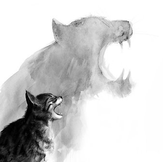 №33, Марина Махонина, Николаев №33, Марина Махонина, Николаев