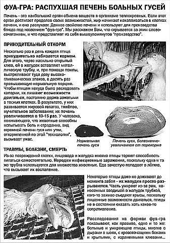 Олеся Мартынова | Энгельс