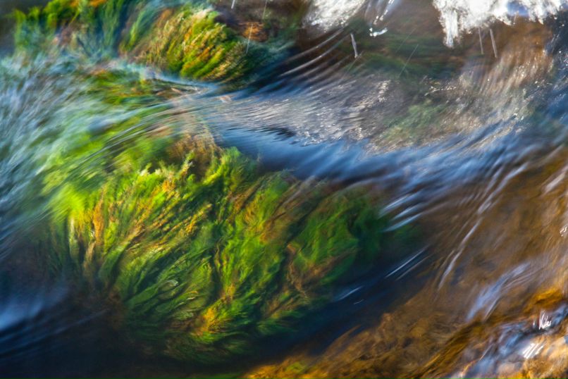 Алексей Кононенко | Никополь