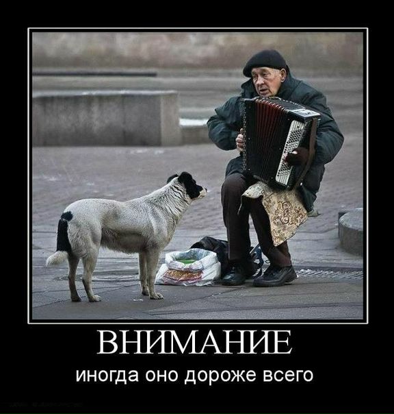 №122, Тимур Ефремов №122, Тимур Ефремов