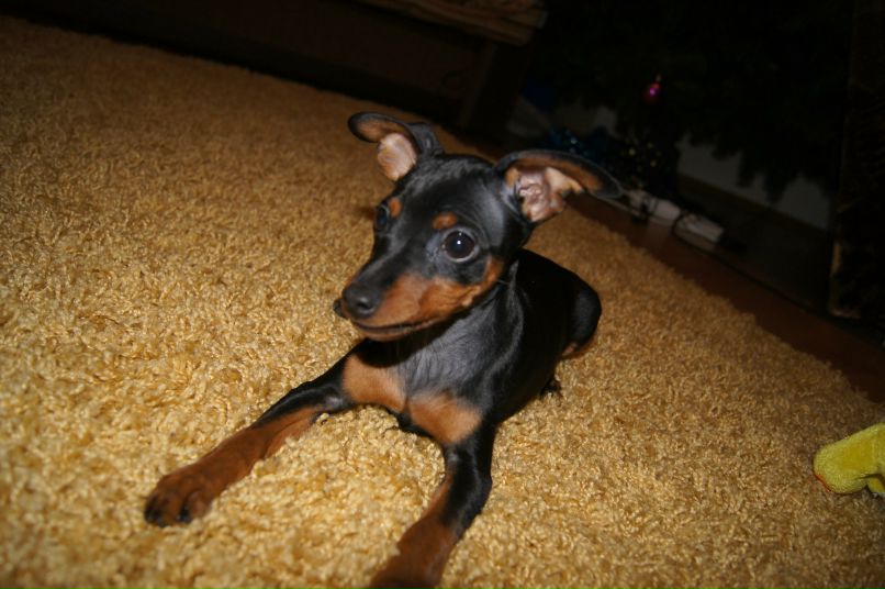 Евгений Новиков | Подольск