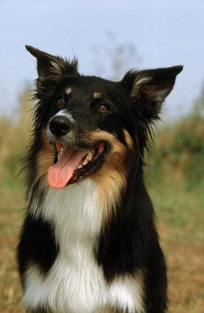 Лариса Устинова | Самара