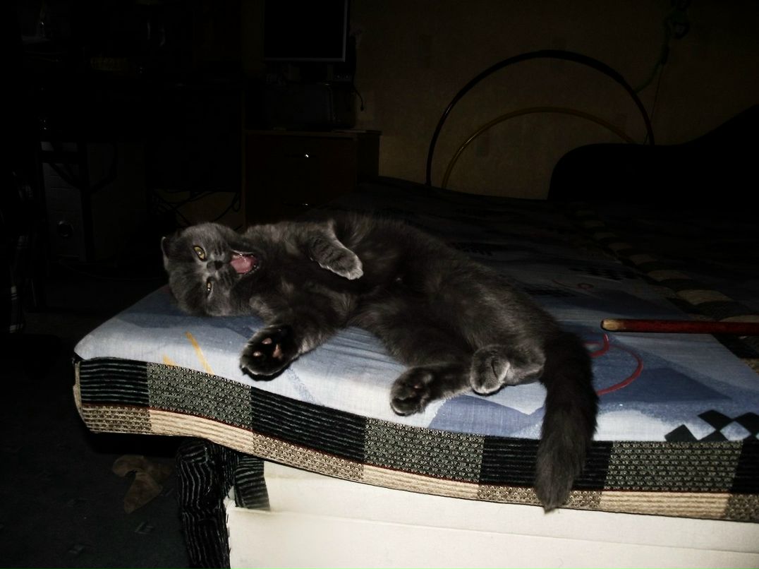 Дмитрий Саурс <VBN44PL.At> | Москва